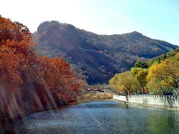 管家婆黑白马报图库，铸铁井盖价格